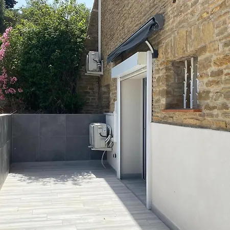 Palmier サナリー・シュル・メール