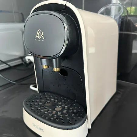 Palmier サナリー・シュル・メール