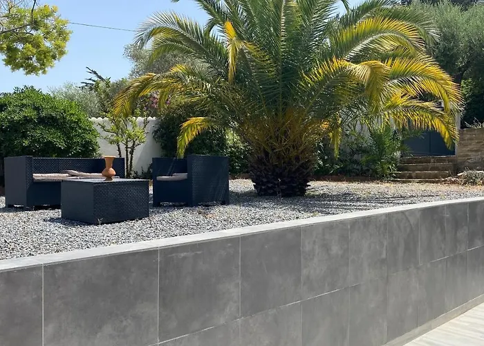 Palmier サナリー・シュル・メール