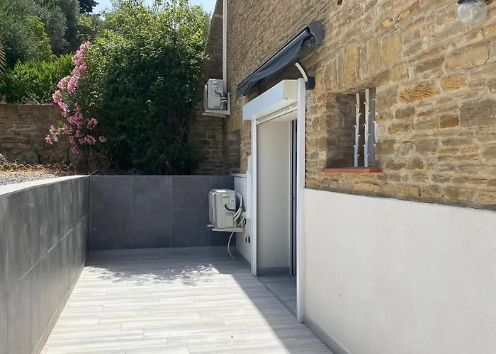 Palmier サナリー・シュル・メール