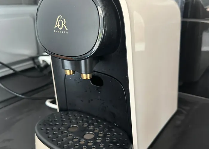 Palmier サナリー・シュル・メール